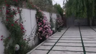 ویلا شهرکی
