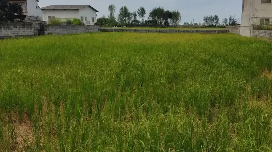 زمین قابل تفکیک مناسب برای شهرک سازی