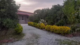 ویلا باغ سه هزار متری جاده خانه دریا