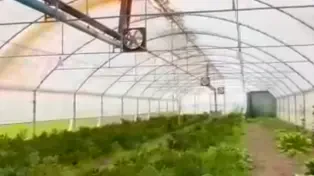 ویلا باغ ۳۰۰۰ متری با گلخانه صنعتی