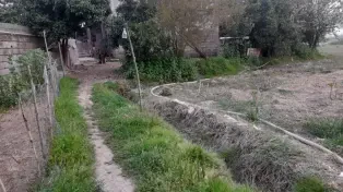 ویلا باغ ۳۰۰۰ متری با گلخانه صنعتی