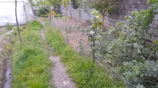 ویلا باغ ۳۰۰۰ متری با گلخانه صنعتی