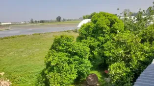 ویلا باغ ۳۰۰۰ متری با گلخانه صنعتی