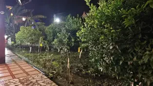 ویلا باغ مشجر نزدیک ساحل سرخرود