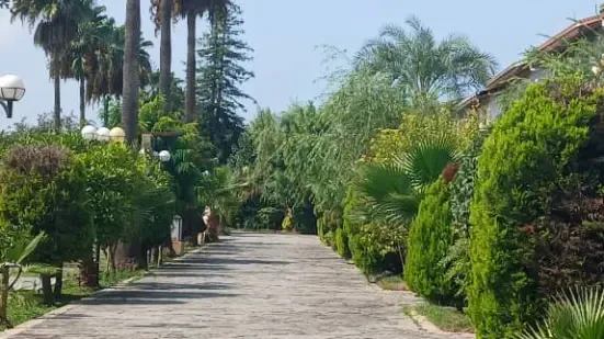 فرصت طلایی خرید زمین شهرکی لوکس در شمال