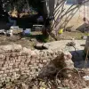 زمین ویلایی