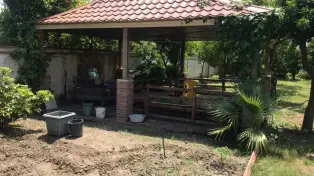 ویلا باغ ۲۰۹۰ متری خیابان اصلی