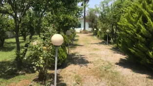 ویلا باغ ۲۰۹۰ متری خیابان اصلی