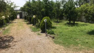 ویلا باغ ۲۰۹۰ متری خیابان اصلی