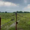 فروش ۲۴۰ متر زمین شهرکی در لوکیشن خوب در سرخرود