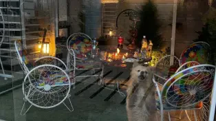 ویلا میخوای