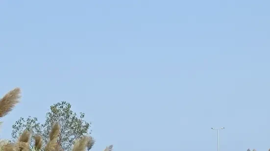 ۲۷۰ متر زمین کمیاب لب دریا  دو بر اصلی قلب شهر