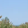 ۲۷۰ متر زمین کمیاب لب دریا  دو بر اصلی قلب شهر