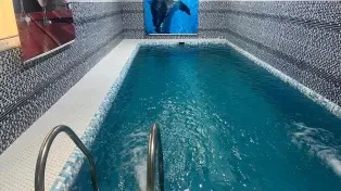 فرصت طلایی ویلا مدرن استخردار با تمام امکانات