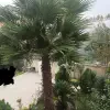 ویلا باغ دوبلکس لوکس  ۸۰۰ متر زمین سنددار