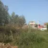 زمین ویلایی ۸۰۰ متری