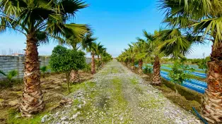 فروش ۲۲۰۰۰ متر باغ ویلا شیک در لوکیشن عالی بابلسر