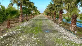 فروش ۲۲۰۰۰ متر باغ ویلا شیک در لوکیشن عالی بابلسر