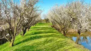 فروش ۲۲۰۰۰ متر باغ ویلا شیک در لوکیشن عالی بابلسر