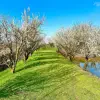 ۲۲ هزار متر باغ ویلا با دریاچه پرورش ماهی