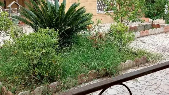 400 متر ویلا سبز سرخرود با همه مدارک