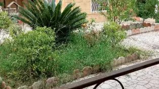 400 متر ویلا سبز سرخرود با همه مدارک