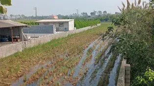 1000 متر باغ مرکبات مخصوص کلبه سوئیسی