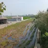 1000 متر باغ مرکبات مخصوص کلبه سوئیسی