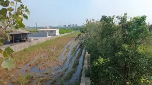 1000 متر باغ مرکبات مخصوص کلبه سوئیسی
