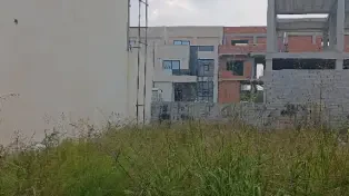 زمین مسکونی ساحلی داخل بافت با سند و انشعابات