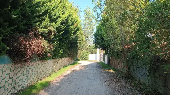 200 متر زمین ساحلی درویش آباد سرخرود