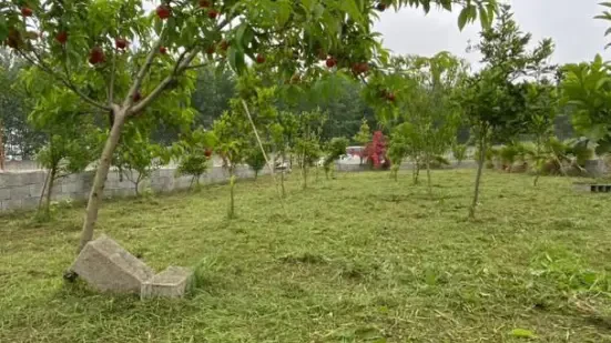 فروش باغ ۵۷۰ متری در محموداباد