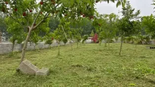 فروش باغ ۵۷۰ متری در محموداباد