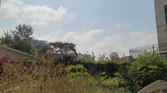 . فروش زمین ۱۵۰ متری داخل بافت با سند رسمی در شمال