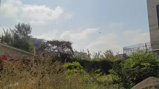 . فروش زمین ۱۵۰ متری داخل بافت با سند رسمی در شمال