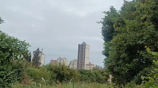 فروش زمین ۲۶۵ متری داخل بافت با سند رسمی در شمال