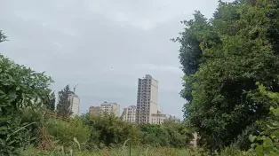 فروش زمین ۲۶۵ متری داخل بافت با سند رسمی در شمال