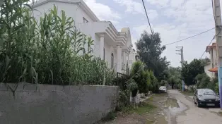 فر‌وش ۲۶۰ متر زمین ساحلی داخل بافت در سرخرود