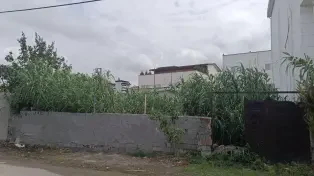 فر‌وش ۲۶۰ متر زمین ساحلی داخل بافت در سرخرود