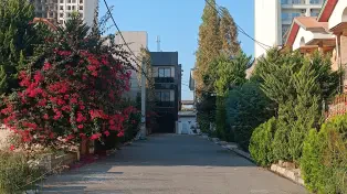 فروش زمین 600 متری خط دریا سرخرود