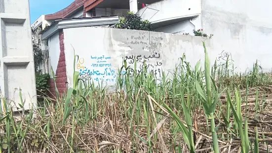 198 متر زمین مسکونی درویش آباد