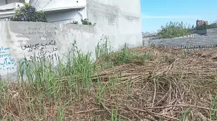 198 متر زمین مسکونی درویش آباد