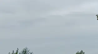 80 متر واحد ساحلی سرخرود