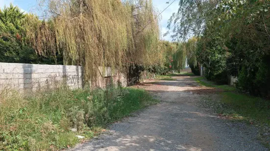 زمین ساحلی ۱۵۰ متری در سرخرود سند تک‌برگ