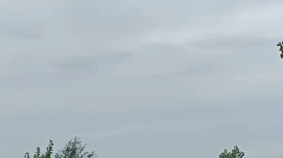 زمین ساحلی ۱۵۰ متری در سرخرود سند تک‌برگ