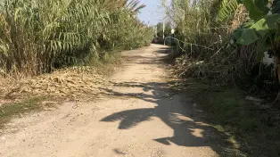 فروش ۵۰۵ متر زمین در لوکیشن خوب سرخرود