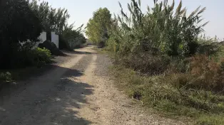 فروش ۵۰۵ متر زمین در لوکیشن خوب سرخرود