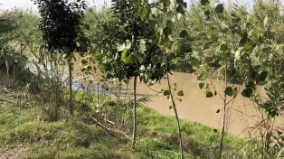 فروش ۵۰۵ متر زمین در لوکیشن خوب سرخرود