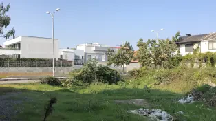 فروش ۲۶۰ متر زمین داخل بافت لوکیشن عالی سرخرود