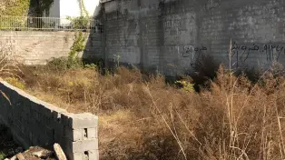 فروش ۲۶۰ متر زمین داخل بافت لوکیشن عالی سرخرود